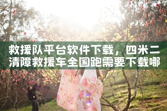 救援队平台软件下载