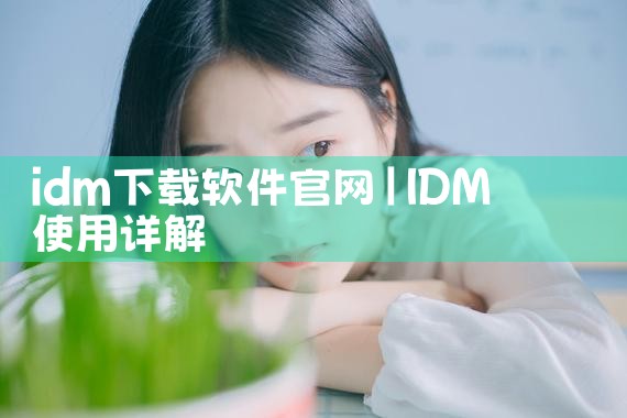 idm下载软件官网