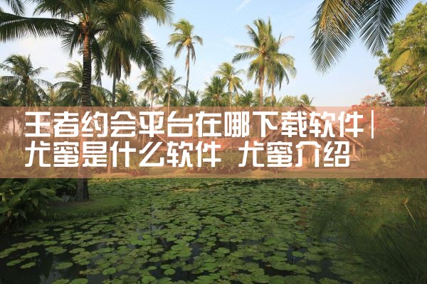 王者约会平台在哪下载软件