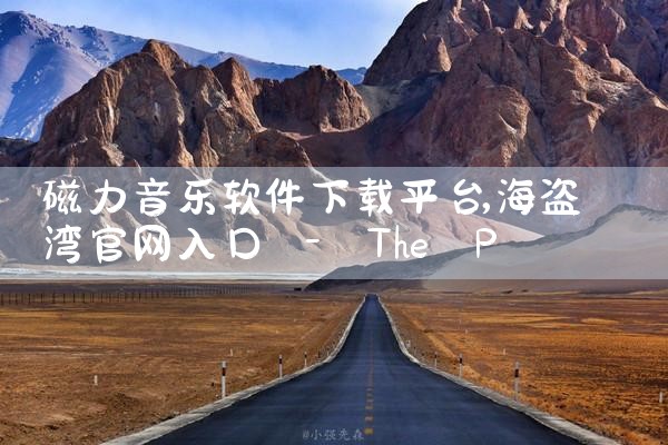 磁力音乐软件下载平台